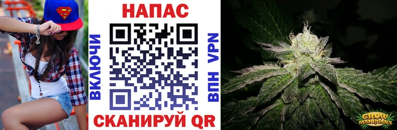 Каннабис индика Болотное